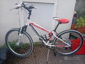 bicicletta Bottecchia 24