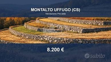 Immobile in asta di 15000 m² a Montalto Uffugo