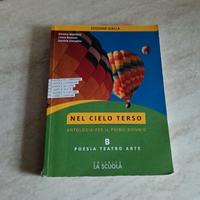Nel cielo terso tomo B