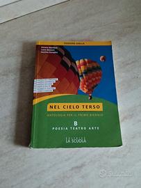 Nel cielo terso tomo B