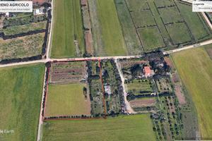 Terreno agricolo piantumato