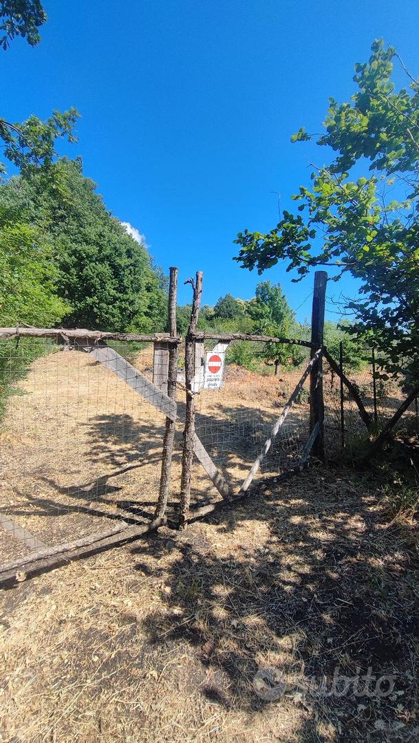 Terreno agricolo - Sant'Alfio - Vista 5