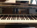 pianoforti-varie-marche