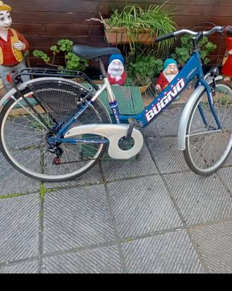 Bicicletta da Donna Bugno
