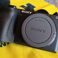 Sony A6600 body