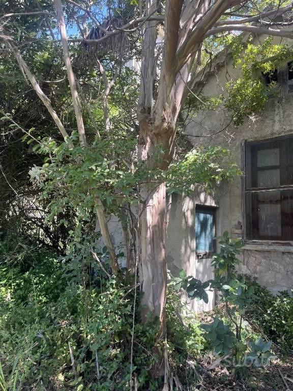 Appartamento – Davoli, Catanzaro - Vista 3