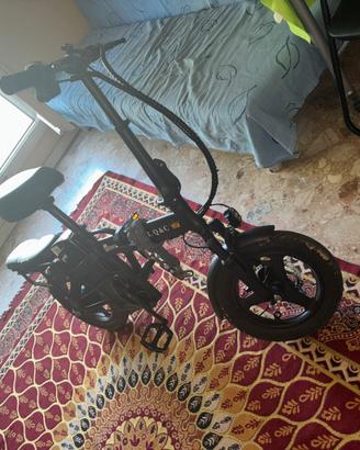 Bicicletta elettrica presa due settimane fa
