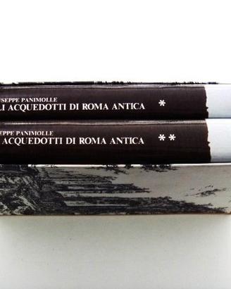 Gli acquedotti di Roma antica