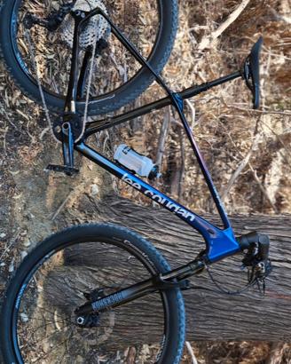 MTB Lee Cougan Rampage 428