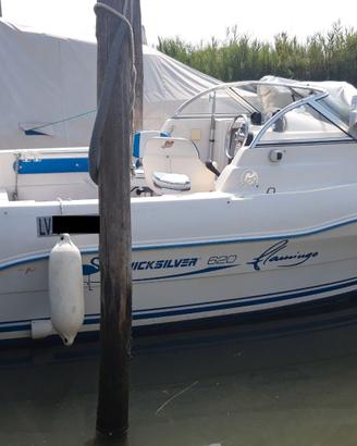 Semicabinato Quick Silver Flamingo 620 135 CV