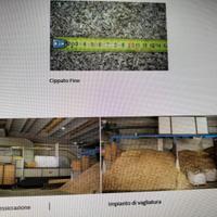 ESSICCATOIO PER CIPPATO E IMPIANTO COGENERAZIONE