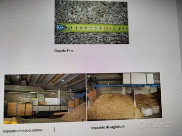 ESSICCATOIO PER CIPPATO E IMPIANTO COGENERAZIONE