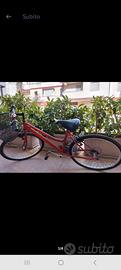 bici da uomo o da fonna
