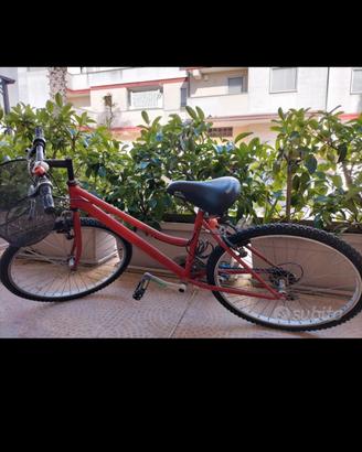 bici da uomo o da fonna