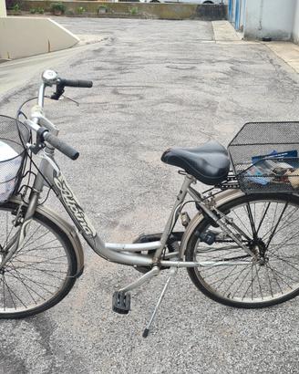 Bici donna da 26