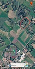 veno cappannone  con terreno adiacente 