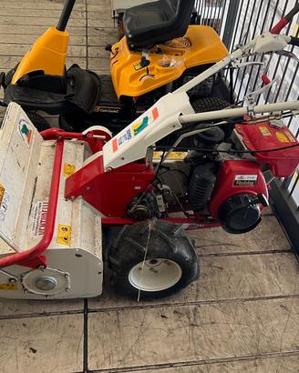 TRINCIASARMENTI OREC 661