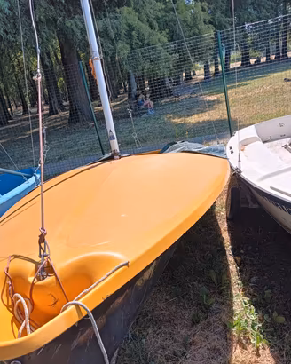 barca a vela deriva 505