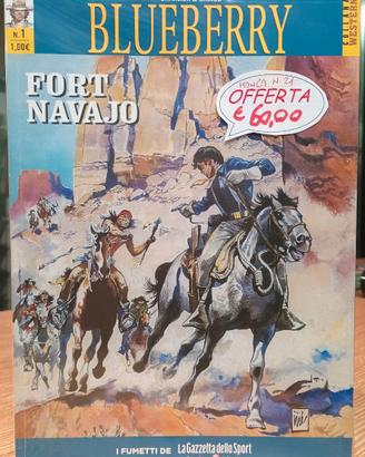 BLUEBERRY QUASI COMPLETA