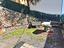 Immagine 25