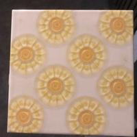 Piastrelle Ceramica Fiori Richard Ginori