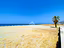Immagine 21