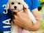 Immagine 1