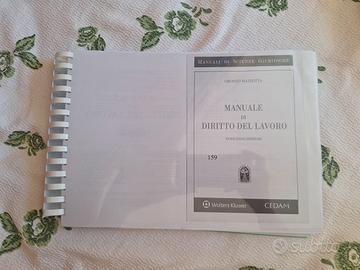 Stampa Manuale di diritto del lavoro