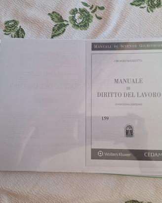Stampa Manuale di diritto del lavoro