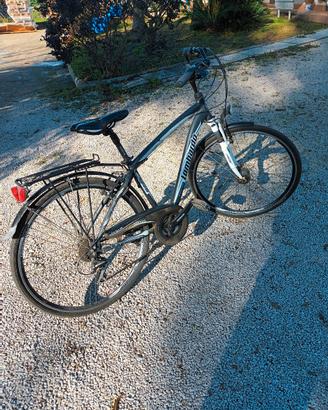 Bici Lombardo modello Tochal 500