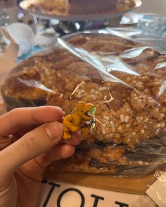 dinosauro raro piccolo