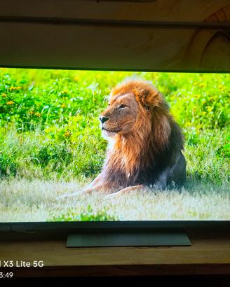 lg oled evo 48 pollici 
