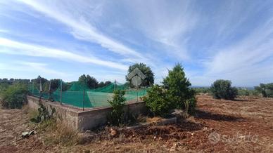 TER. AGRICOLO A POLIGNANO A MARE