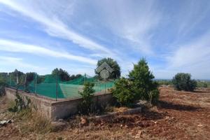 TER. AGRICOLO A POLIGNANO A MARE