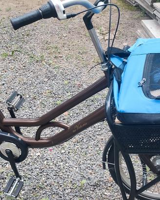 kargo byke bici da trasporto 