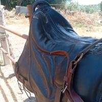 scafarda modello militare