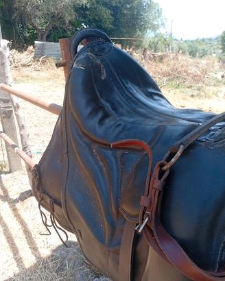 scafarda modello militare
