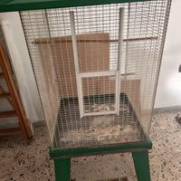 Voliera per uccelli