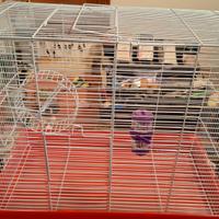 gabbietta per robitori