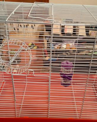 gabbietta per robitori