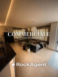 Immobile di 300 m² con più di 5 locali a San Giova