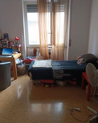 Stanza singola in appartamento condiviso