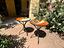 Immagine 5