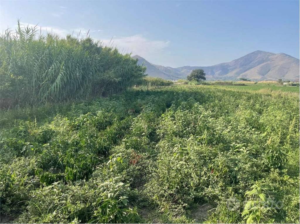 Terreno di 3650 m² a Mondragone - Vista 3