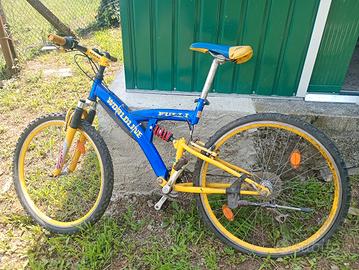 bicicletta 