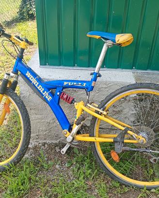 bicicletta 