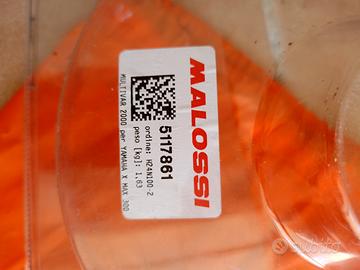 variatore Malossi multivar 