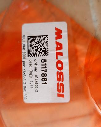 variatore Malossi multivar 