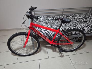 Bicicletta Schiano