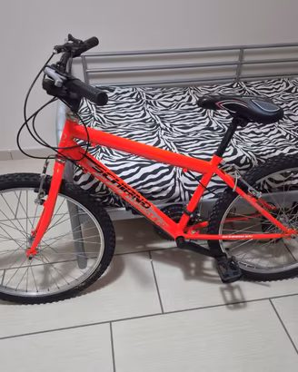 Bicicletta Schiano